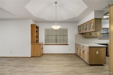 248 Rebecca Dr, Alamo, TX 78516 - photo 3