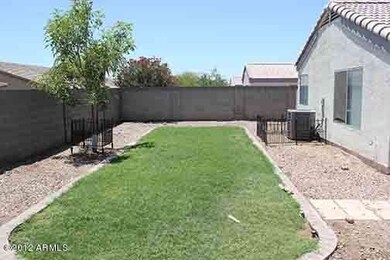 Back yard