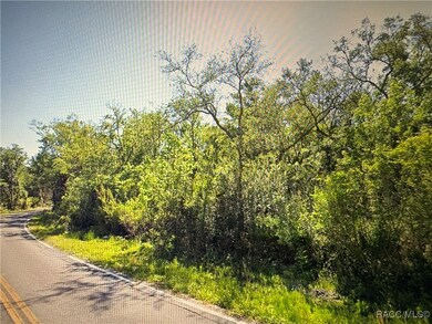 10043 W Holloway Path, Crystal River, FL 34429 - photo 7