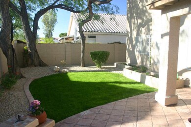 3 Rear Yard