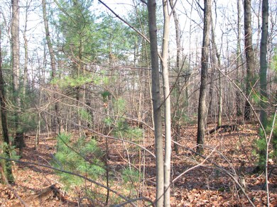 0 Tower Rd, Liberty Township, PA 17821 - photo 4