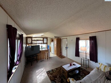 201 D St, Endicott, WA 99125 - photo 7