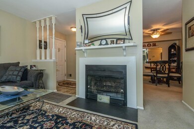 Living Room w/Woodburning Fireplace