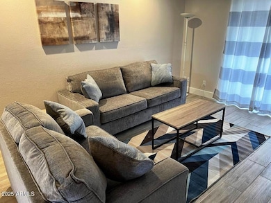 Fully Furnished Living Room