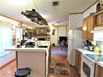 6908 20th St, Zephyrhills, FL 33542 - photo 7