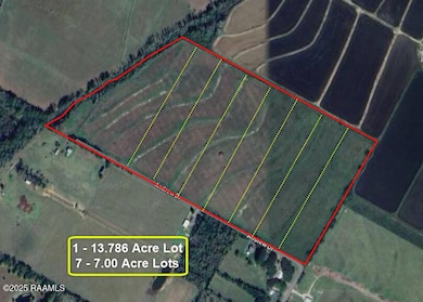 7 Andrew Dr, Church Point, LA 70525 - photo 6