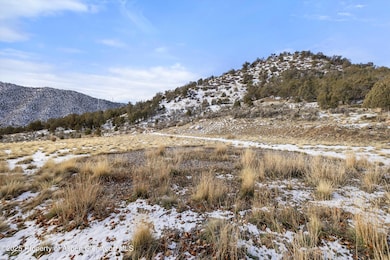 59 Mount Yale Ct, New Castle, CO 81647 - photo 6