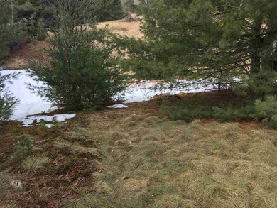 TBD School, Fletcher, VT 05444 - photo 6