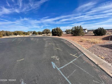 Lot 10 W Arrowhead Rd, Snowflake, AZ 85937 - photo 3