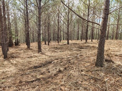 231 Pioneer Dr, Linden, TN 37096 - photo 5