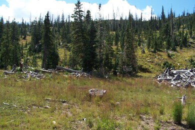 690 E Ridge Top Dr unit CBMHS u-A b-C lot 1, Brian Head, UT 84719 - photo 4