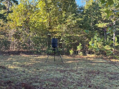 000 Hwy 9, Rushing, AR 72051 - photo 4