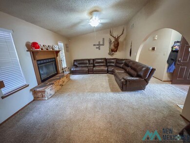 3401 Sunnyview Ave, Carlsbad, NM 88220 - photo 3