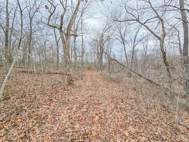 000 W Hwy, Wheatland, MO 65779 - photo 6