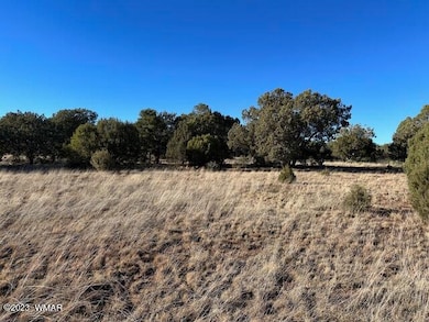 13 Lone Pine Dam Rd, Show Low, AZ 85901 - photo 5
