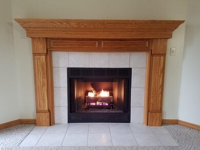 7795 Buffham Rd, Lodi, OH 44254 - photo 6