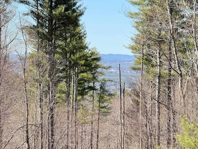Map 3 Lot 18-2b and 18-2c Water St, Strafford, NH 03884 - photo 6