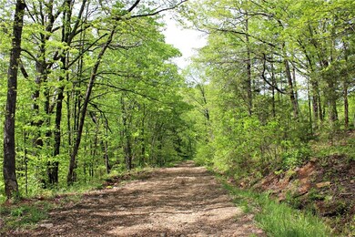 17696 Hutchens Rd, Winslow, AR 72959 - photo 4