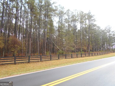 +/- 7 ACRES Youth Jersey Rd, Covington, GA 30014 - photo 6