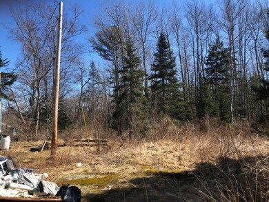 748 Spruce Head Rd, Spruce Head, ME 04859 - photo 7