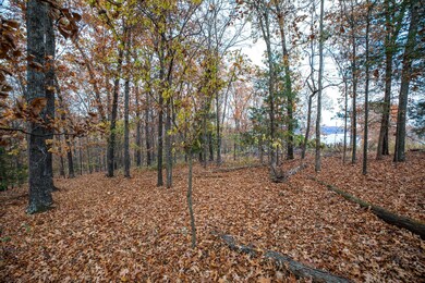 Tbd Whispering Hill Dr, Pine A Township, MO 65611 - photo 5