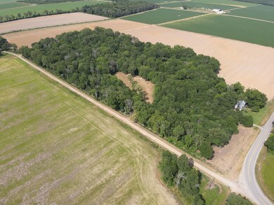 0 Highway 585, Pioneer, LA 71266 - photo 6