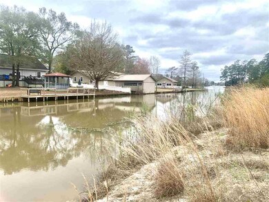 000 Magnolia Pointe Dr, Gantt, AL 36421 - photo 4