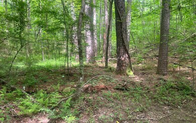 TR A Yukon Rd, Ellijay, GA 30540 - photo 3