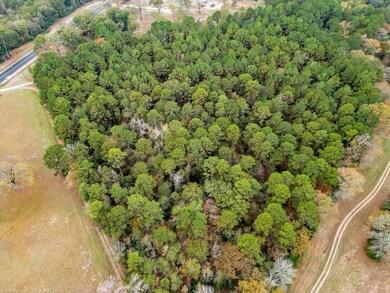 TBD State Highway 155, Big Sandy, TX 75755 - photo 2