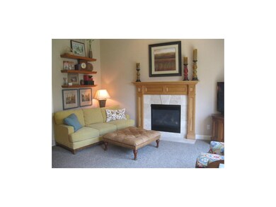 Big living room with fireplace & upgraded window t