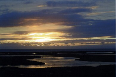 Sunset View