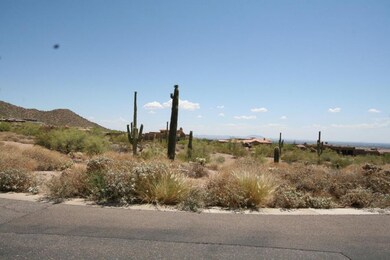 Custom Lot with Views