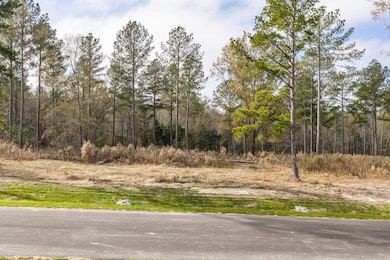 158 Beagle Chase Dr, Appling, GA 30802 - photo 5