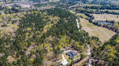 0 Piney Woods Rd unit 513538, Lincolnton, GA 30817 - photo 5