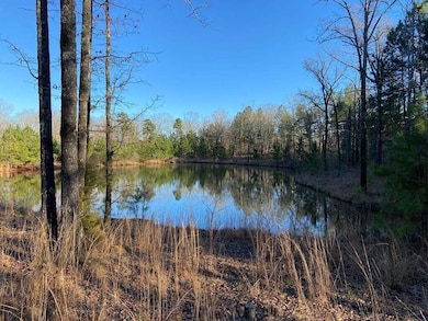 1008 Serenity Point Dr Pond