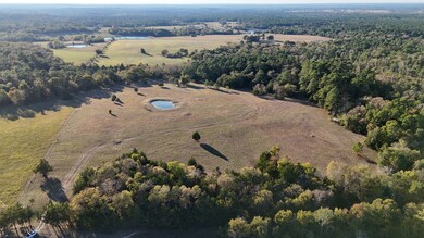 0 Townley Ranch Rd unit 25576062, Huntsville, TX 77320 - photo 3