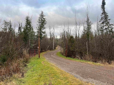 5xxx Highway 194, Hermantown, MN 55811 - photo 2