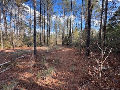 25 ac Smyrna Rd, Florala, AL 36442 - photo 6