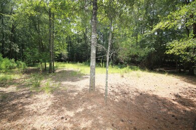 3 Deer Lodge Rd, Magnolia, TX 77354 - photo 4