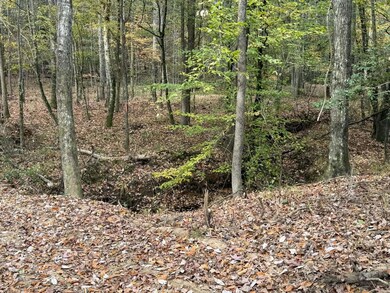 0 Cr 472 unit 144947, Meridian, MS 39301 - photo 3