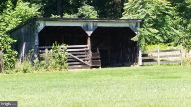 1361 Champe Plain Rd, Etlan, VA 22719 - photo 5