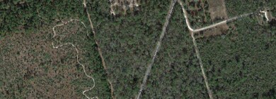 TBD Old Bethel Rd unit 289759, Crawfordville, FL 32327 - photo 2