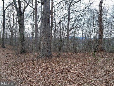 0 Hawks Nest Lot 9 unit WVMO117532, Hedgesville, WV 25427 - photo 3