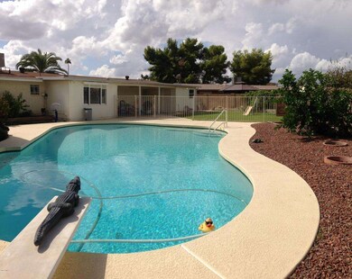 Pool/Yard