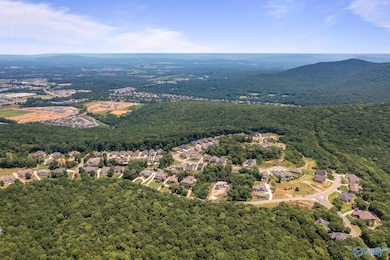 35.5 Acres Hawks Way NE, Huntsville, AL 35811 - photo 7