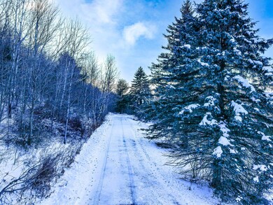 L46.111 Panarama Ln, Windham, NY 12496 - photo 2