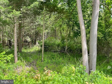 742 State Route 9, Mystic Islands, NJ 08087 - photo 5