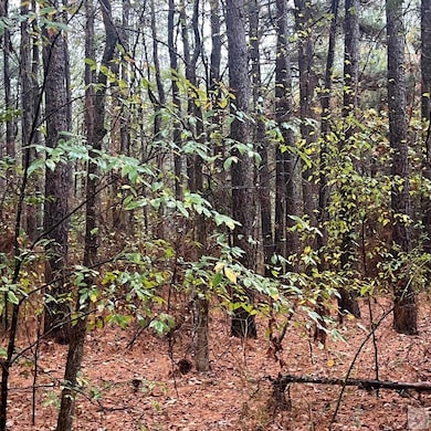 TBD Mc 226, Texarkana, AR 71854 - photo 5