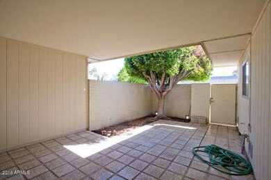 Back Patio Private Yard