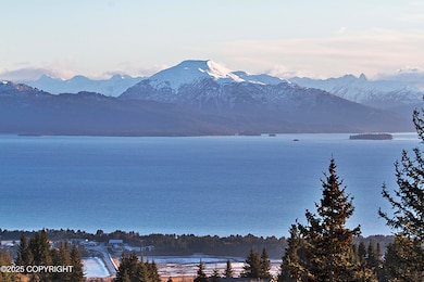 5012 Pine Terrace Cir, Homer, AK 99603 - photo 6